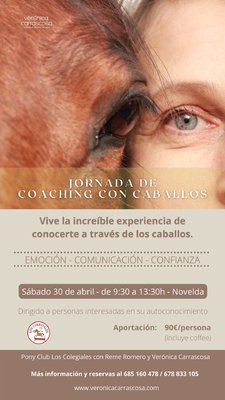 Jornada de Coaching con Caballos