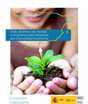Gua de Ayudas e Incentivos a Empresas, Comunitat Valenciana