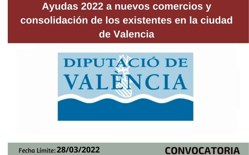 Ampliar imagen