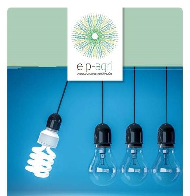Ayudas para la ejecuci�n de proyectos de innovaci�n de inter�s general por grupos operativos de la Asociaci�n Europea para la Inno
