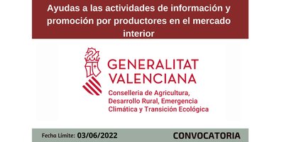 Ayudas a las actividades de informaci�n y promoci�n por productores en el mercado interior