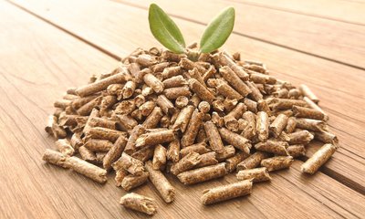 Ejemplo de pellet (Biomasa)
