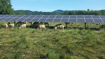 La combinación de agricultura con producción de energía solar conseguiría cubrir la totalidad de la demanda mundial de electricida