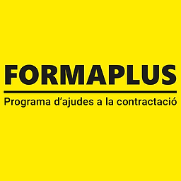 FORMAPLUS.Programa de insercin laboral en Alzira