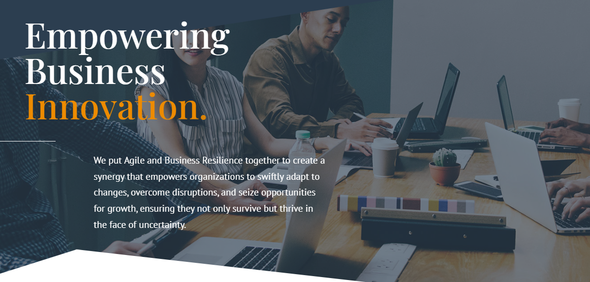 Business Resilience Institute