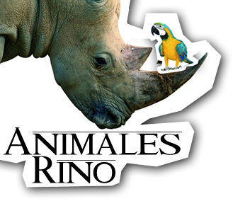 Animales Rino,CB