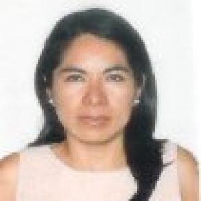 Karina Virrueta Lpez (CV)