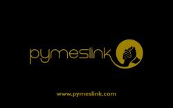 miguelpymeslink
