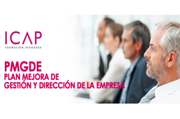 Curso Plan de Mejora de Gesti�n y Direcci�n de la Empresa (PMGDE)