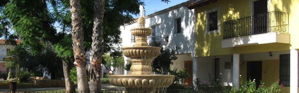 AEDL Ayuntamiento de Tous