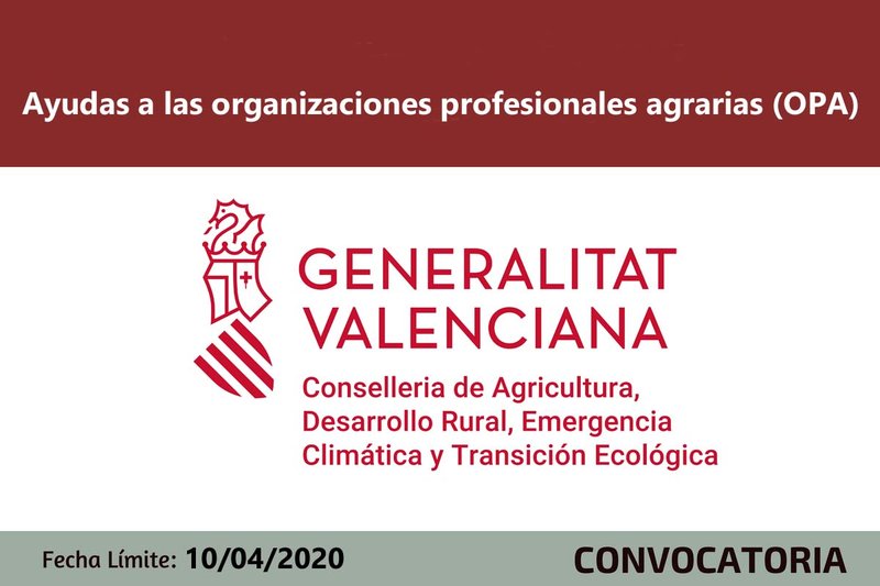 Ampliar imagen