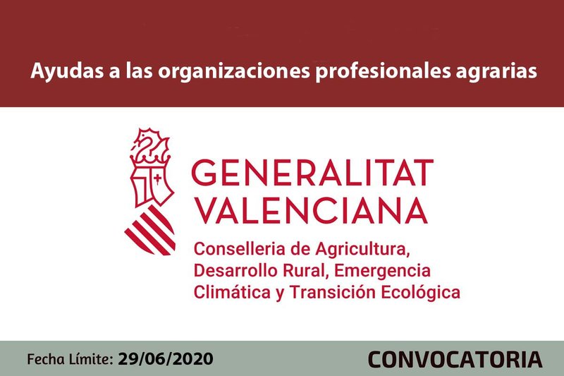 Ampliar imagen