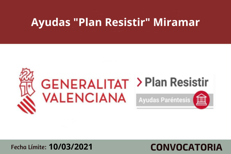 Ampliar imagen