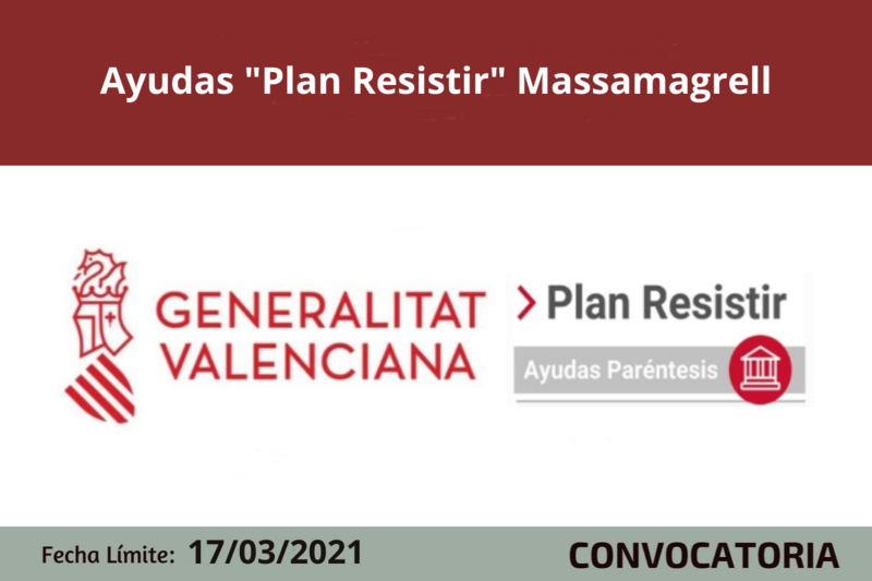 Ampliar imagen