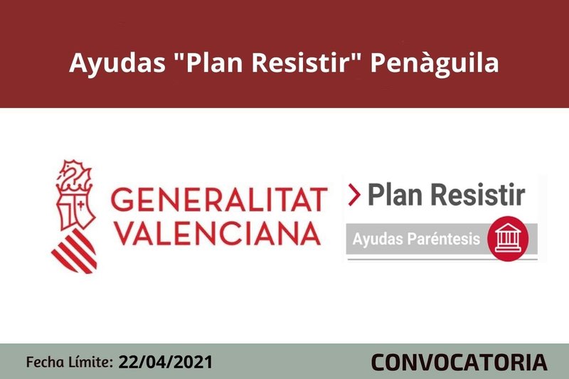 Ampliar imagen