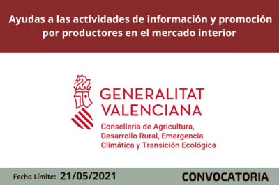 Bases de la Convocatoria