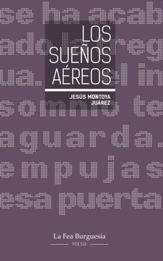 Novela: Los sue�os a�reos